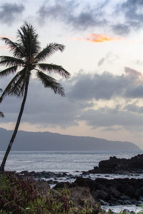 Visit Wahiawa 2023 Travel Guide For Wahiawa Hawaii Expedia