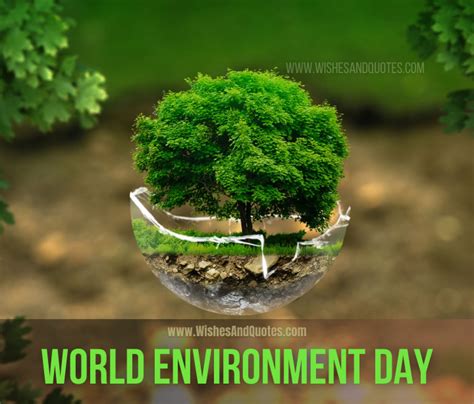 Quotes On Environment Day Xmitnmlfbnhy4m The Environment In Which