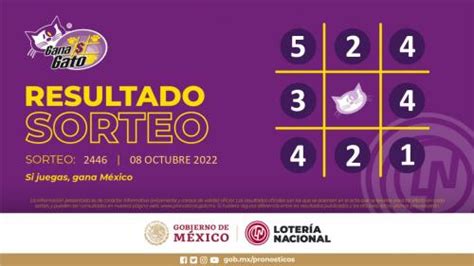 Resultados Gana Gato En Vivo Hoy Sábado 8 De Octubre En México Sorteo Números Y Ganadores De