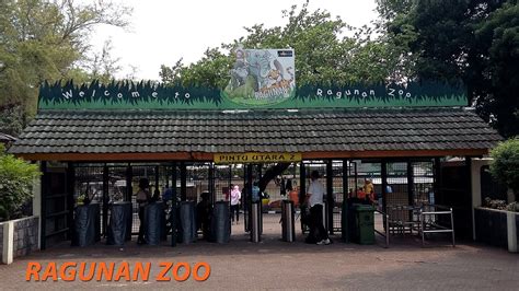 Kebun Binatang Ragunan Ragunan Zoo Youtube