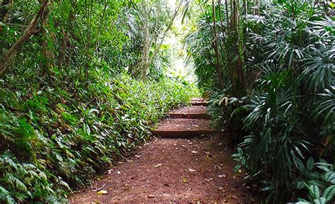 Brief Garden By Bevis Experiences In Bentota Srilankainstyle