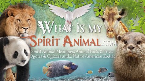 Best of bbc future | infographic. What Is My Spirit Animal | Spirit, Totem, & Power Animals