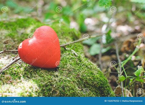 Red Decorative Heart In The Forest Love Concept Stock Photo Image Of