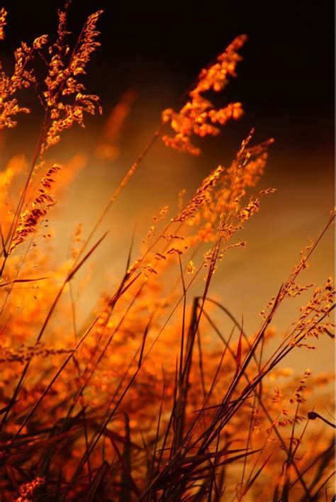 C... - Slater Funeral & Cremation Services Inc of Burgettstown