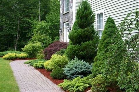 60 Beautiful Front Yards And Backyard Evergreen Garden Design Ideas 1