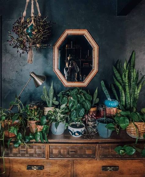 Plant Filled Magic ~ets Indoor Garden Indoor Plants Pinterest Home