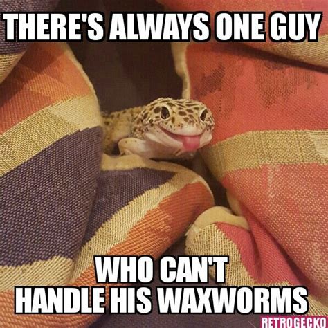 Theres Always One Guy Who Cant Handle His Wackyworms