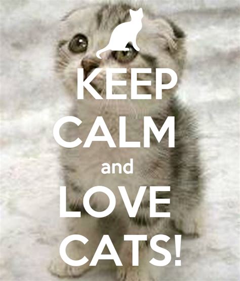 Keep Calm And Love Cats Poster Cats Keep Calm O Matic