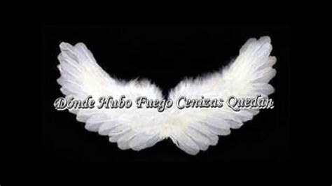 And ron's spark reignited the embers of that fire: Los Ángeles Románticos - Donde hubo fuego cenizas quedan ...