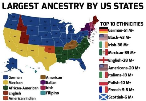 Largest Us Ethnic Groups Mapporn