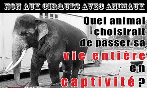 Pétition Pour Linterdiction Des Cirques Avec Animaux à Rennes Et Sa