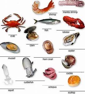 English Honori Garcia Meat Poultry And Seafood Vocabulary