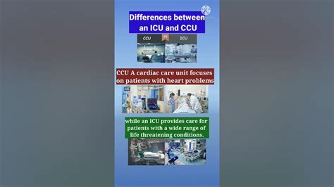 Difference Between Icu And Ccu Youtube