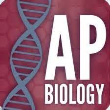Ap Biology Clipart Clip Art Library