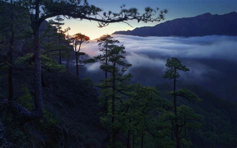517035 Nature Landscape Sunrise Forest Mist Mountain Clouds Valley