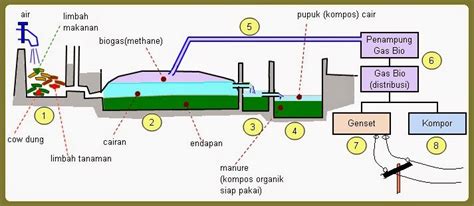 Biomassa Padat Dan Biogas