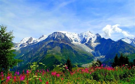 Mountain Glory Wallpaper Valley Of Flowers National Parks Uttarakhand