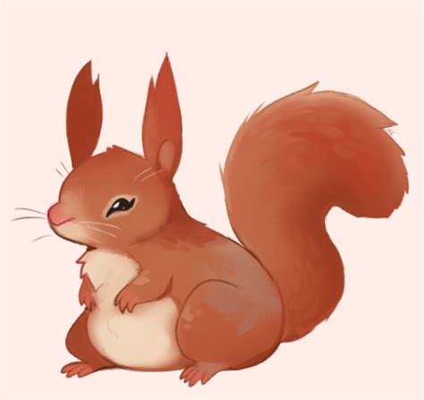 red squirrel on tumblr