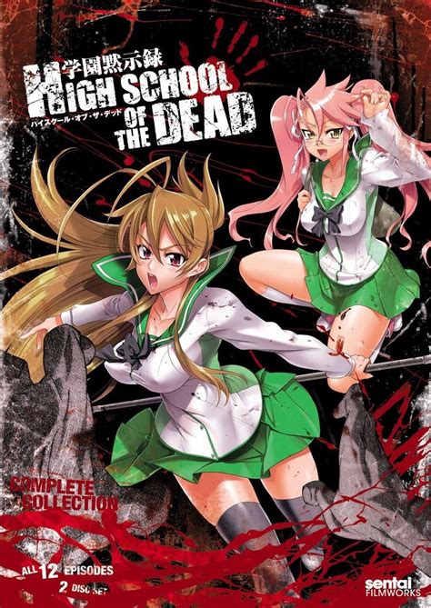 High School Of The Dead Absolute Anime