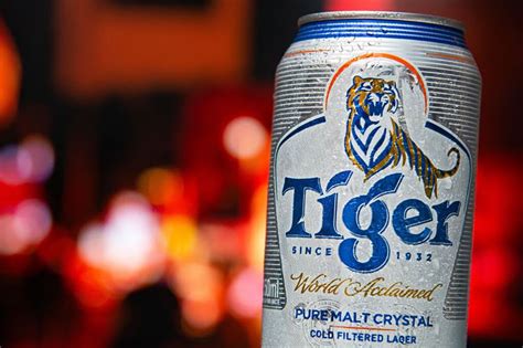 Cerveja Tiger A Puro Malte De Singapura Anuncia Expans O Nacional