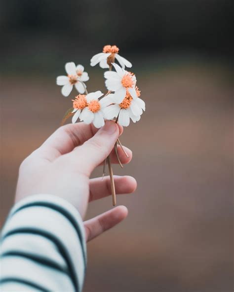 Hands Flower Photographer Photography Girl 😌 Çiçek Pembe Noel