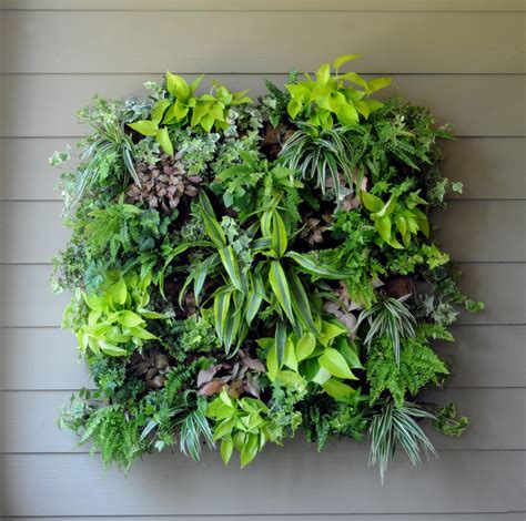 Vertical Gardens | City Garden Ideas