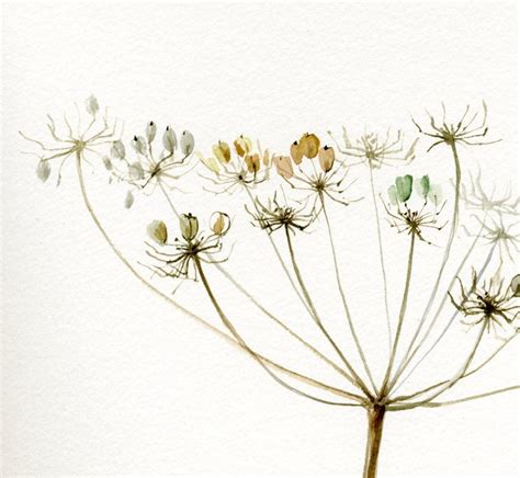 Queen Annes Lace Giant Hogweed Painting Fine Art Print Etsy Original