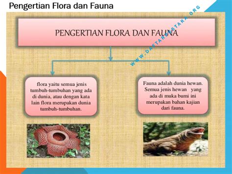 Peta Persebaran Flora Dan Fauna Di Indonesia Daftar Pustaka