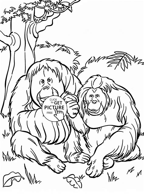 Orangutans Coloring Page For Kids Animal Coloring Pages Printables