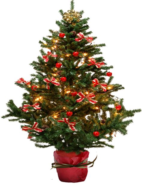 Christmas Tree With Bows Png Image Purepng Free Transparent Cc0 Png