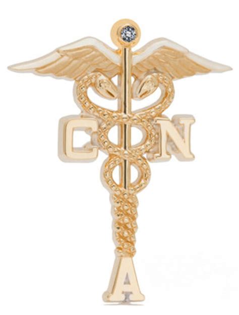 Certified Nursing Assistant Lapel Pin Charm Or Necklace In Etsy