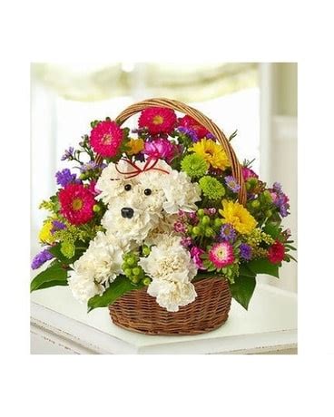 We did not find results for: Puppy Full Of Flowers in Winston Salem NC - Sherwood ...