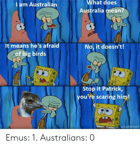 What Does Am Australian Australia Mean It Means Hes Afraid No It