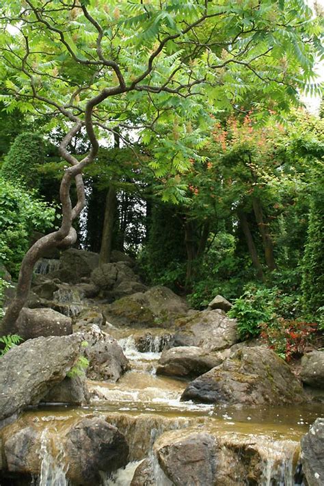 Get details of location, timings and contact. Wasserlauf, Japanischer Garten, Bonn Foto & Bild ...