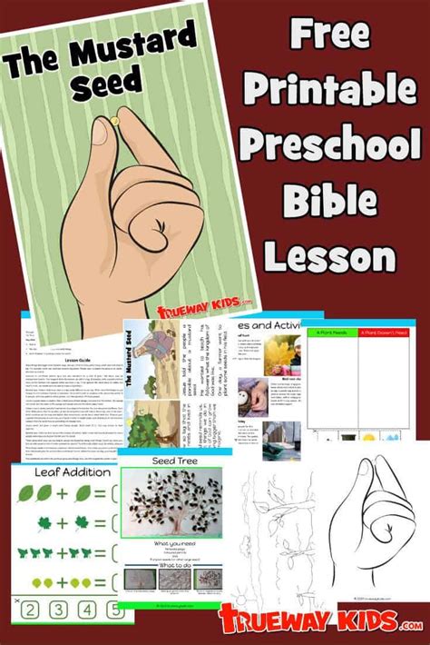 The Parable Of The Mustard Seed Free Printable Preschool Bible Lesson