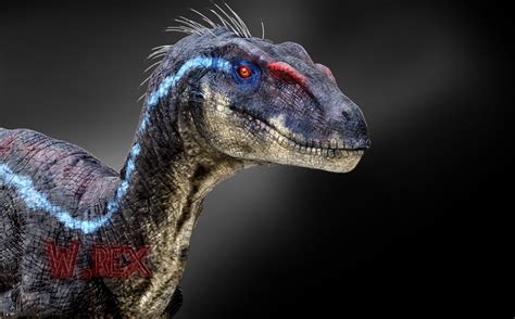 Kevin Vanwijmelbeke Wrex Raptor M Jurassic Park