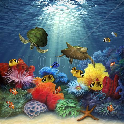 Coral Sea Mural De Pared Y Papel Tapiz Fotográfico Photowall Sea