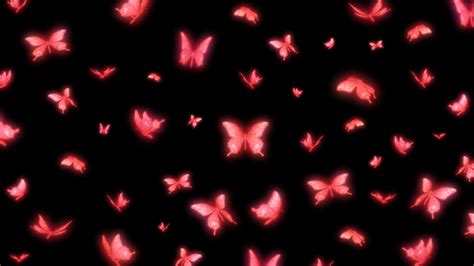 Pink Butterflies With Black Background Hd Pink Wallpapers Hd