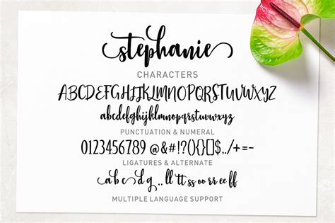 Stephanie Script 46857 Handwritten Font Bundles
