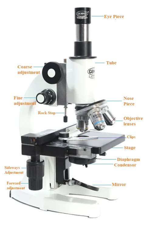 Parts Of The Microscope Gambaran