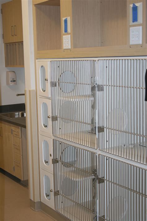 modification of cages to enlarge for cat boarding? Dog Boarding Kennels