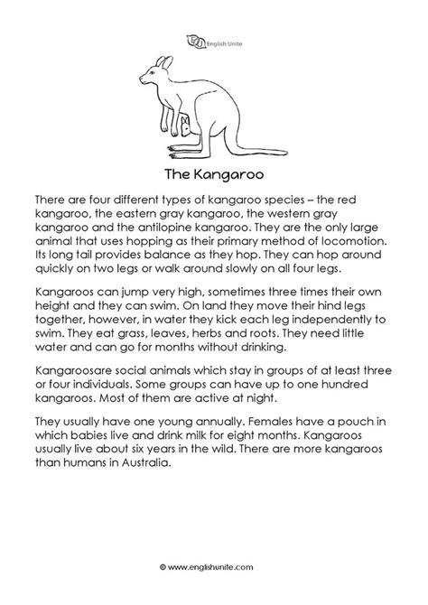 Short Story The Kangaroo English Unite Short Story About Animals