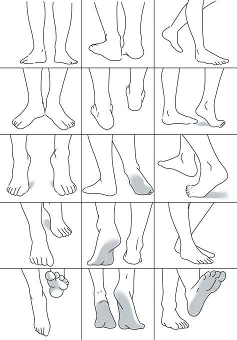Pies Toes Anatomy Reference Drawing People Drawing Tips
