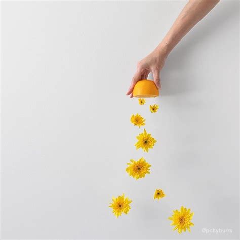 Flowers On Instagram Best Flower Accounts On Instagram To Be Inspired