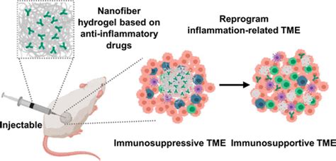 Injectable Anti Inflammatory Nanofiber Hydrogel To Achieve Systemic