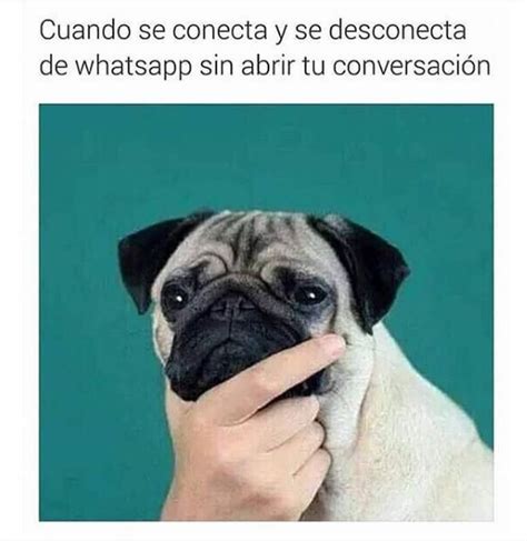 40 Nuevas Imágenes Y Memes Chistosos Imagenes Chistosas