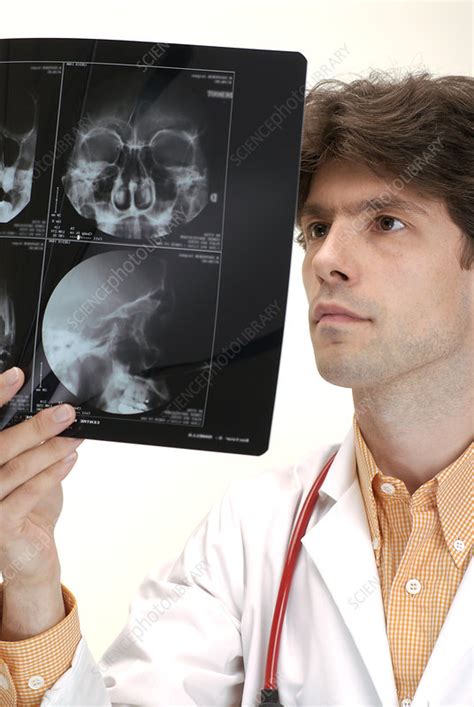Doctor Looking At An X Ray Stock Image M4150577 Science Photo