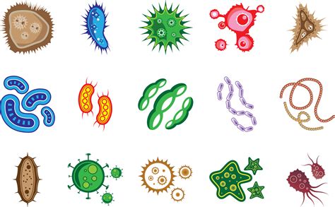 Virus Bacteria And Microorganism Shape Graphic By Boostock · Creative