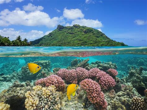 The 10 Most Beautiful Places In Tahiti