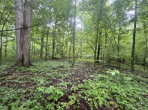 Ingham County, MI Hunting Lease